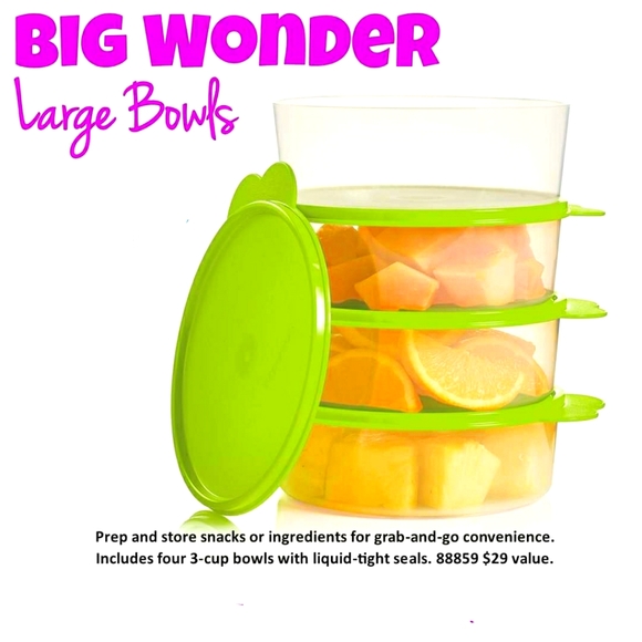Tupperware Big Wonder Large Bowls
